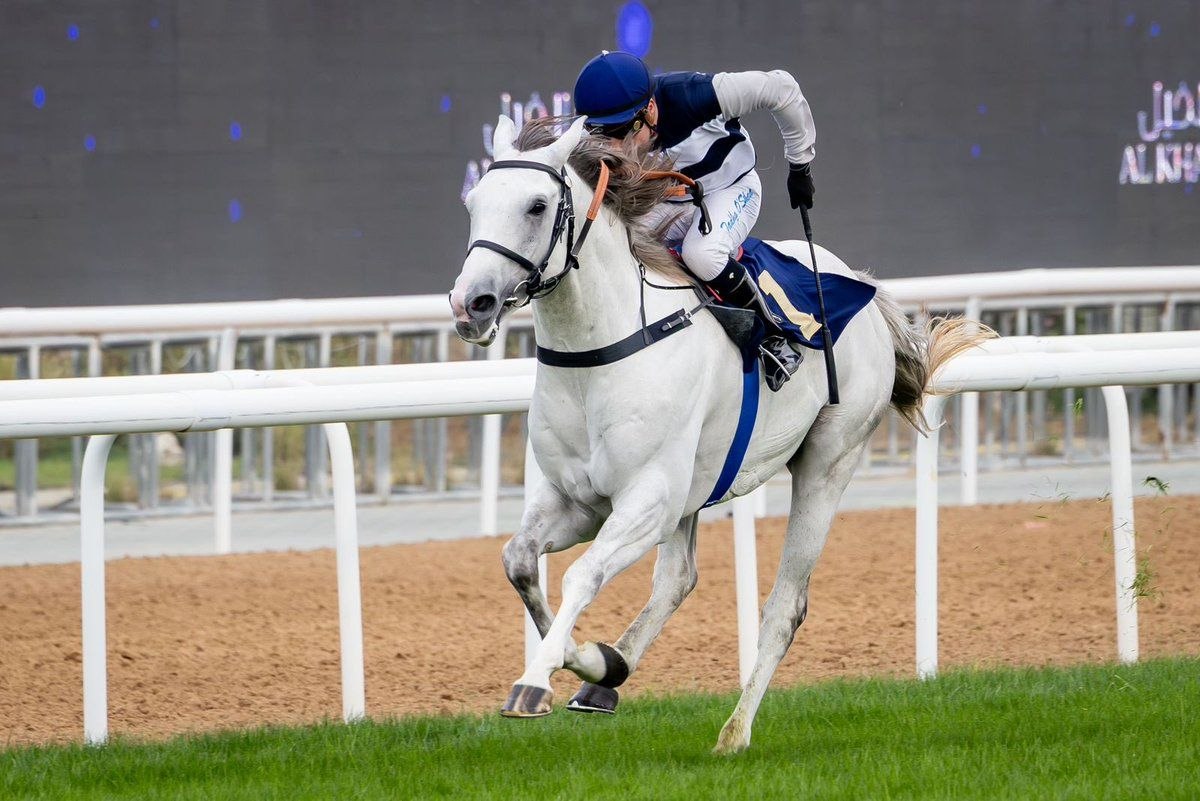 Benghazi Equestrian Square